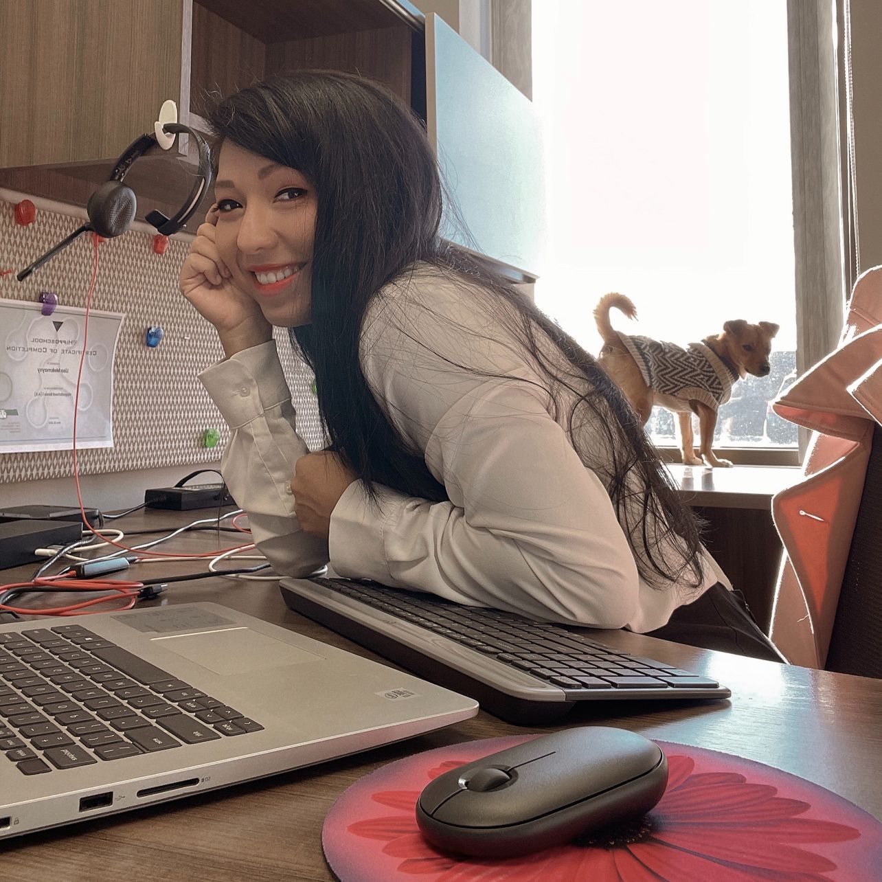 889049a4 a136 292d 4d08 b8e3ddbf77b4