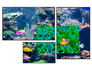 Displays 01